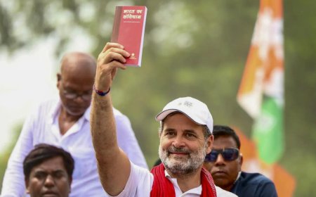 'Deep hatred': Did Rahul Gandhi insult Ambedkar during Bihar rally? Watch video