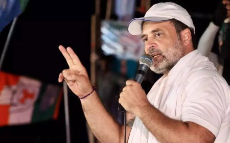 'Will prove beyond doubt in 6 months': Rahul Gandhi on his 'vote chori' charge; 'will expose model of theft'