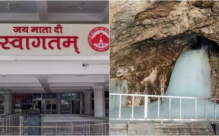 Guidelines issued for welfare of horses, mules, donkeys engaged during religious pilgrimages