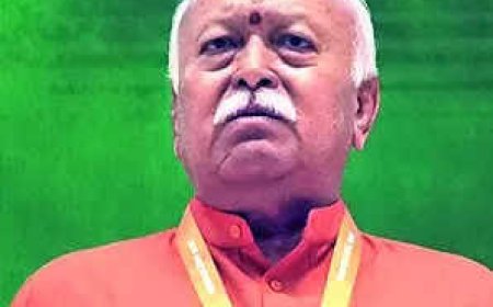 Bhagwat: 'For balance in society', families should ideally have 3 kids