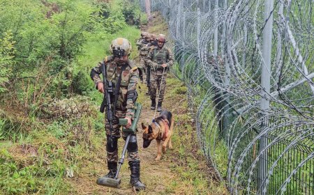 'Unfortunate occurrences can be avoided': BSF-BGB talks flag border row; vow zero tolerance on insurgents