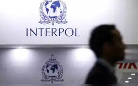 ED secures first Interpol 'Purple Notice'