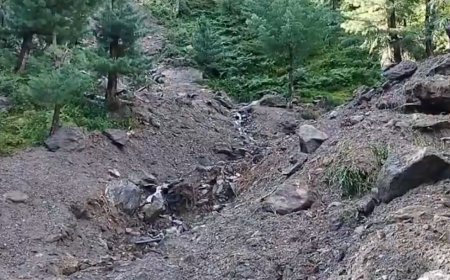 J&K: Seven feared dead as landslide flattens residential house in Reasi; cloudburst in Ramban