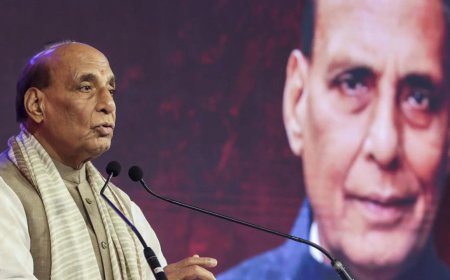 No permanent friends or foes in international ties: Rajnath Singh