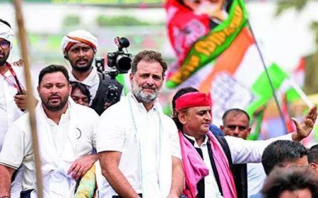 GDP data a 'slap in face' for Rahul Gandhi: BJP
