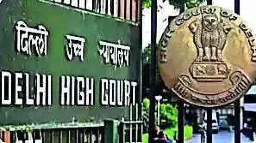HC junks Turkiye aviation company's plea