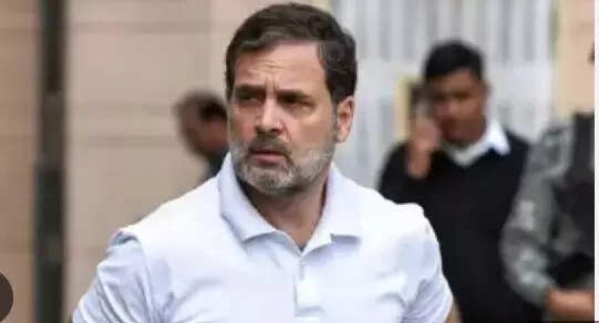 'Vote theft claims': EC slams Rahul; says threats to officials deplorable
