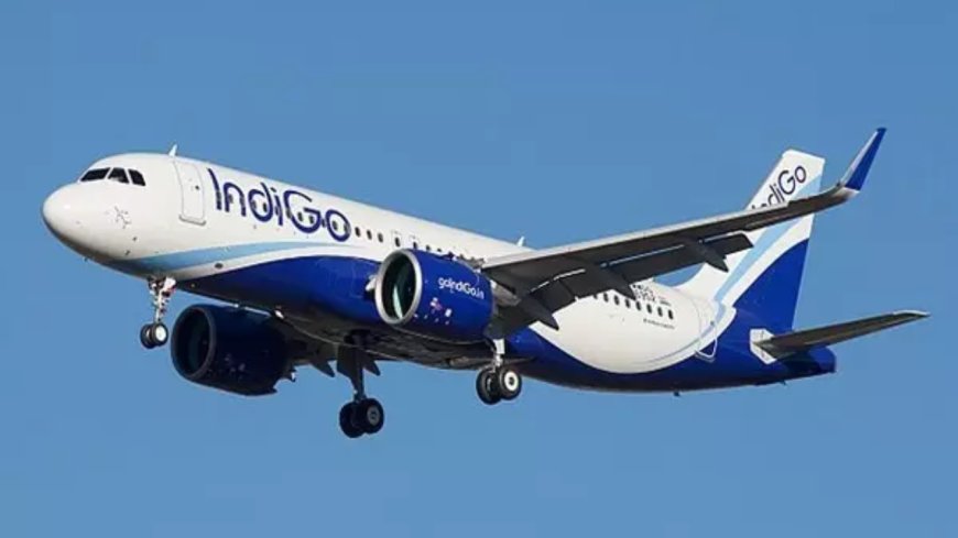 IndiGo bars man who hit a co-passenger on plane flying from Mumbai to Kolkata from its flights