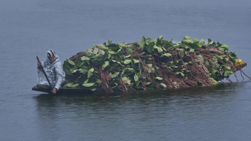 Kashmir’s ancient script Sharda, a ‘vital component of India’s heritage’
