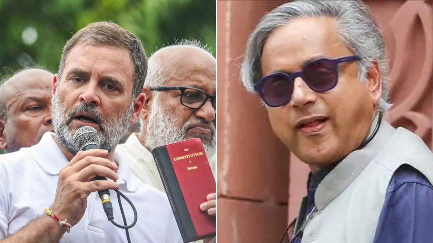 'He has his reasons': Shashi Tharoor sidesteps Rahul Gandhi's 'dead economy' remark; raises trade concerns