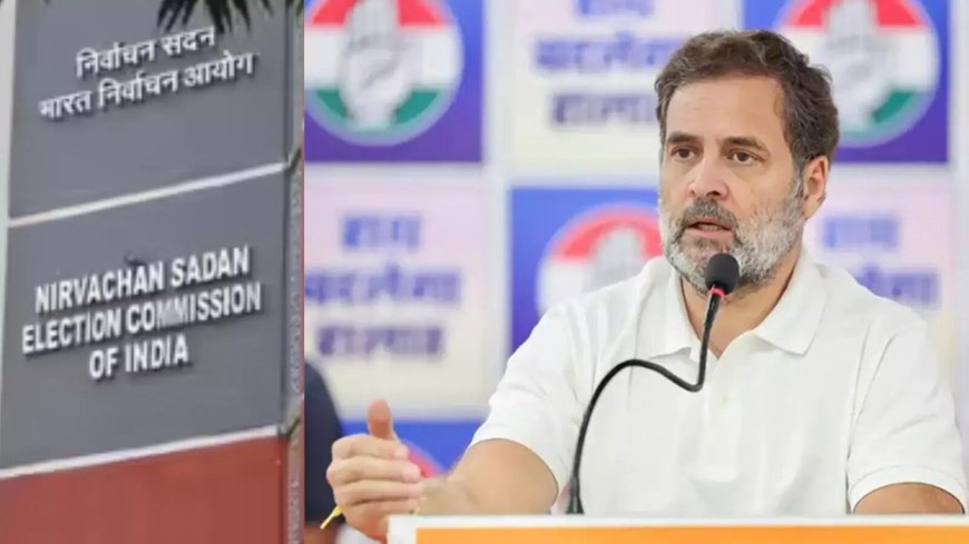 'Not one has filed a complaint': BJP slams Rahul Gandhi for ‘baseless’ voter list claims; CPI backs Congress’ charge saying, 'EC not a holy cow'