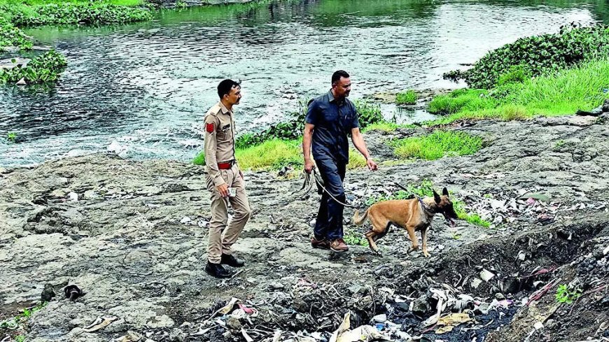 Man tries mend ties with ex-wife, his 2nd spouse mutilates genitals