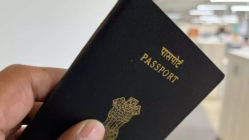 Undocumented migrant Gujaratis self-deport amid US crackdown