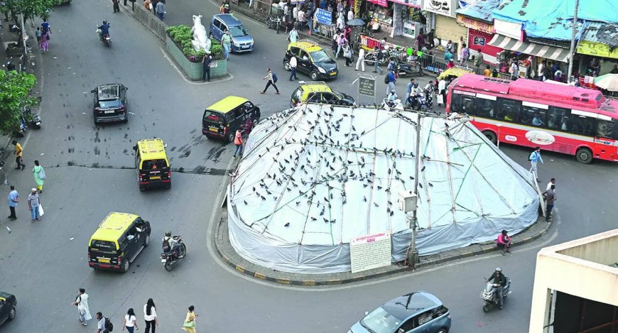 Maharashtra pigeon feeding row: Jain monk warns of hunger strike, says 'will take up arms if needed'