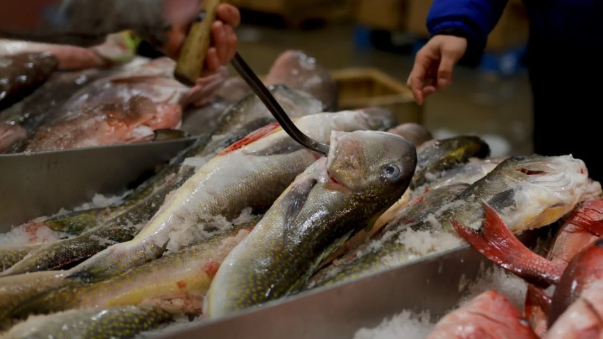 Govt asks seafood exporters to explore alternative markets in the wake of US tariff move