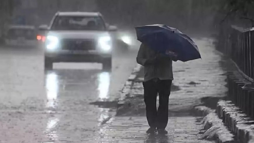 Heavy rains force school closure in 3 J&K districts