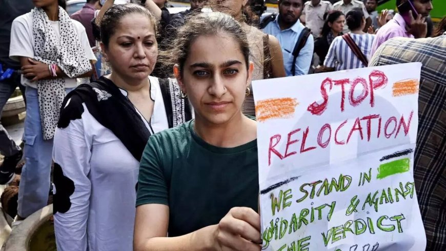 Delhi stray dogs issue: CJI refers matter to 3-judge bench of SC; hearing tomorrow