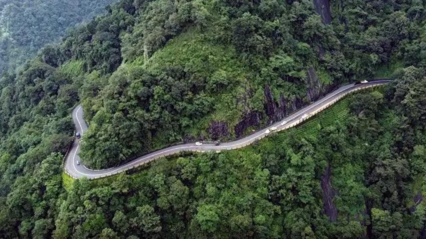 Green panel grants nod to divert forest land for multiple projects