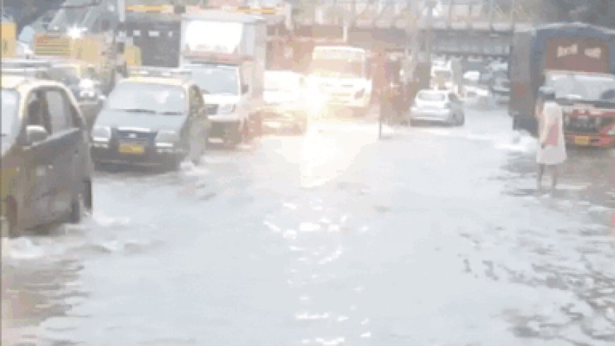Mumbai rains: Heavy downpour floods streets, railway tracks flooded, red alert sounded; watch