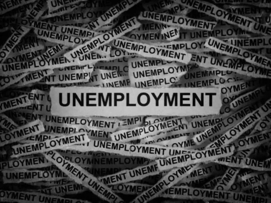 Unemployment rate slows to 5.2% in July: PLFS data