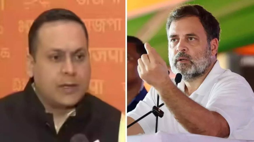 'Ghuspaithiya Bachao Yatra': BJP targets Rahul's 'Voter Adhikar Yatra'; seeks apology after Psephologist deletes Maharashtra elections data