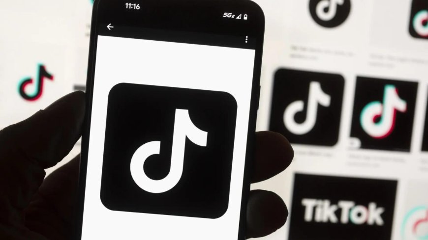 'False and misleading': Government says hasn't issued any unblocking order for TikTok - what we know