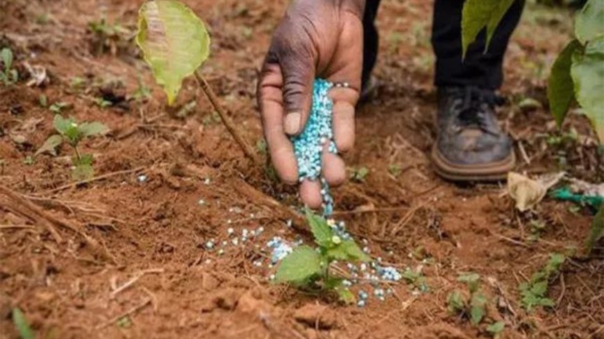 Parliament panel slams fertiliser sector’s 'Non-Strategic' tag, calls it misaligned with Atmanirbhar Bharat goals