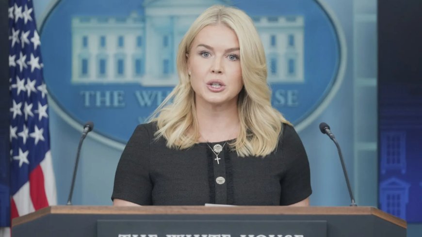 '15 times higher': Karoline Leavitt compares Chicago murder rate to Delhi, Islamabad; slams governer for new executive order