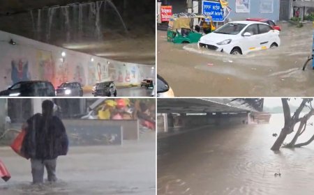 Delhi-NCR rain havoc: Flood alert issued; roads waterlogged, monster traffic jams - top developments