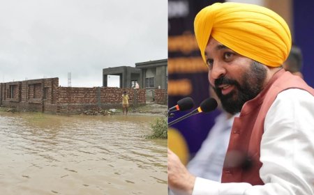 'Demanding rights, not begging': Punjab CM Mann asks Centre to release Rs 60,000 cr pending funds; visits flood-affected areas