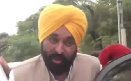 Situation more severe than 1988 floods, hopeful entire country will stand with Punjab: Bhagwant Mann