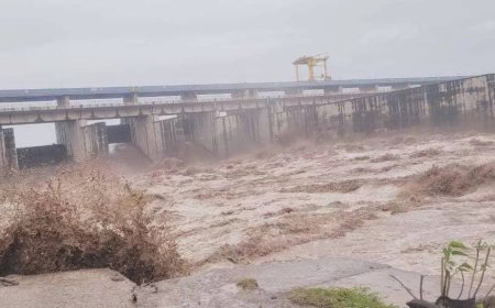 Yamunanagar administration steps up flood control measures, issues safety appeal to residents