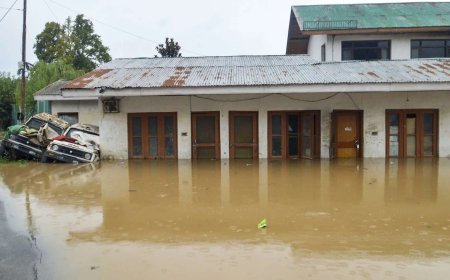 Rain fury: Heavy downpours batter north India; IMD sounds alerts, pilgrimage suspended