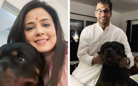 Mahua Moitra vs Jai Dehadrai over pet Henry: Why don't you sit together and sort it out, asks Delhi HC