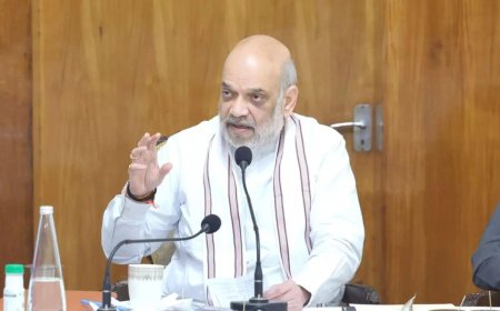 'Under leadership of PM Modi, we will make India Naxal-free': Amit Shah