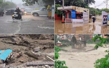 'Illegal felling of trees': SC takes note of landslides, floods in various states; issues notice to Centre