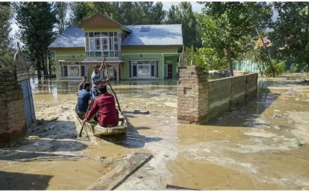 Central team in Jammu to assess damage as floods, landslides continue to batter Jammu and Kashmir