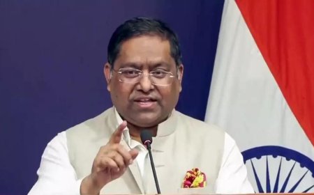 'Continue to have engagement': What MEA said on recognising Taliban government - watch