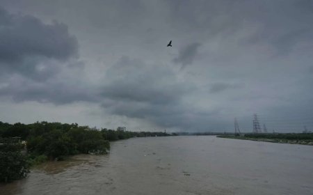 Floods submerge 87 BSF border outposts; fencing damaged along 110 km stretch