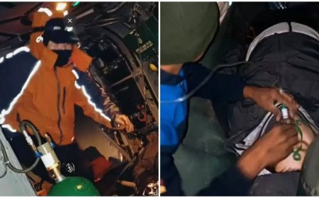 Two South Korean mountaineers rescued in Ladakh, one dies