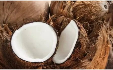 Coconut prices shoot up in south amid Onam, Ganesh Chaturthi celebrations