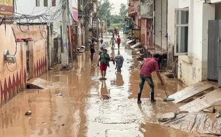 Flood: Patiala boy dies after drowning in Ambala, missing man found dead, two brick kiln labourers washed away