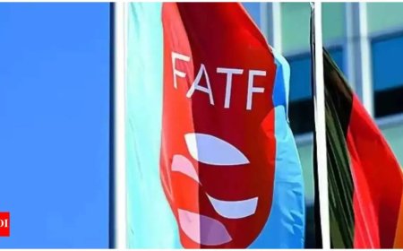 FATF lauds work of MHA's portal for international cooperation