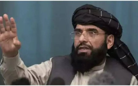 Taliban back upgrade in ties as India explores ministerial visit