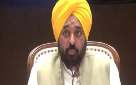 Punjab CM Bhagwant Mann announces flood relief; aid for farmers, families of victims