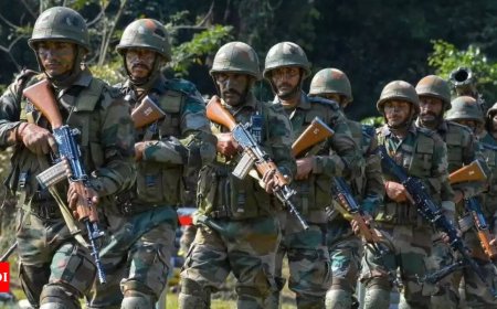 2 soldiers, 2 terrorists killed in J&K’s Kulgam forest clash