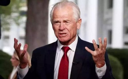 'They all hate each other': Trump's aide Navarro's latest attack on India, China; 'vampire' dig at Brics