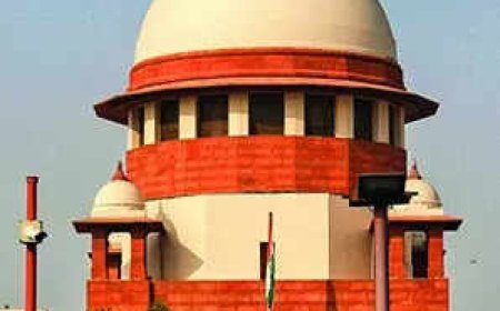 SC stays projects in proposed Goa tiger reserve