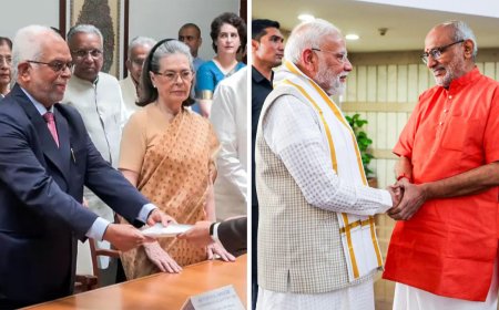 Radhakrishnan vs Reddy: Stage set for high-stakes VP election; who has the numbers? Key FAQs