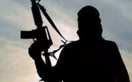 Chhattisgarh encounter: 10 Naxals, including top CPI (Maoist) leader neutralised; carried Rs 1 crore bounty